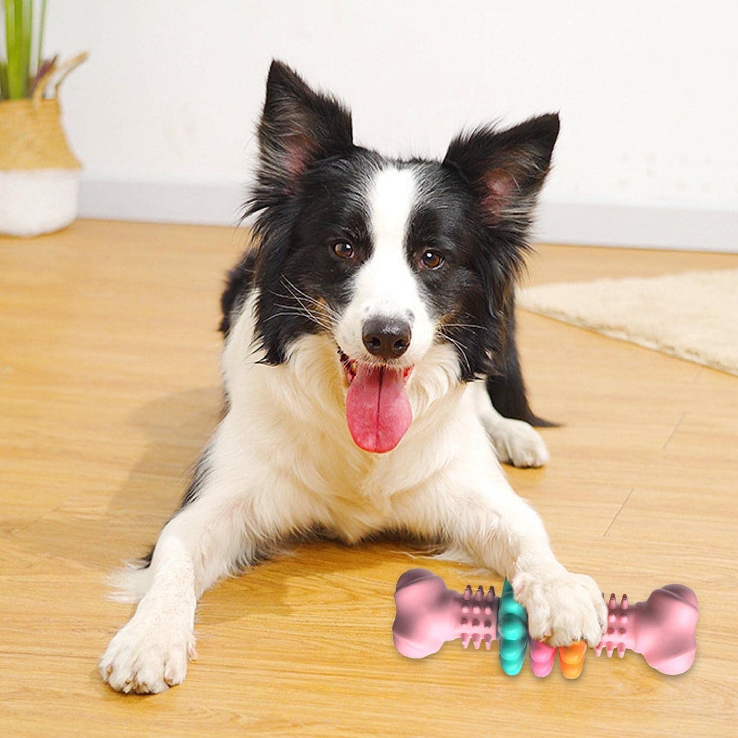 Langlebiges Hundekauknochen-Spielzeug